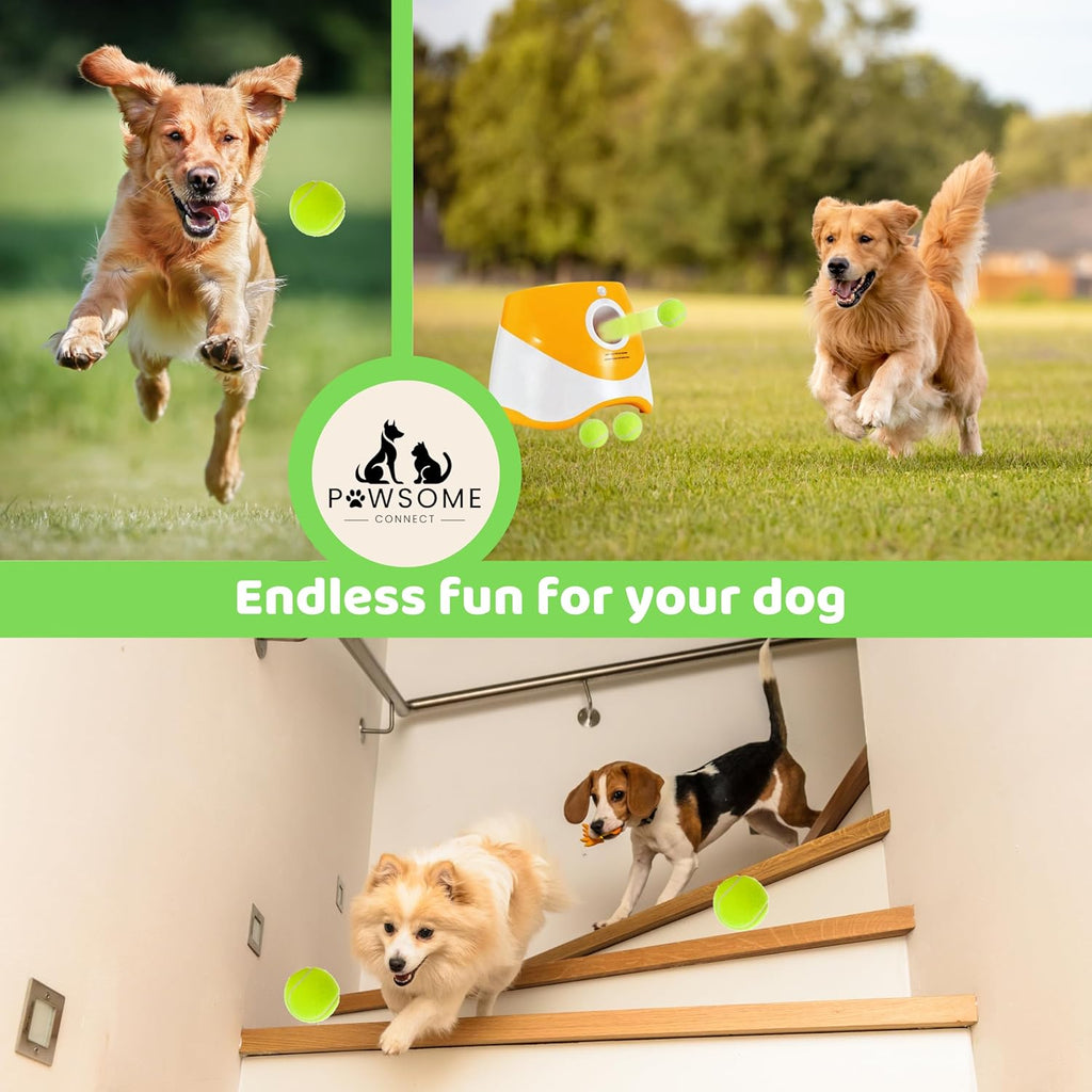 Orange Automatic Dog Ball Launcher with 3 Tennis Balls D457
