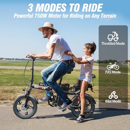 2 Seater Electric Bike, 16" Fat Tire, Full Suspension G4896