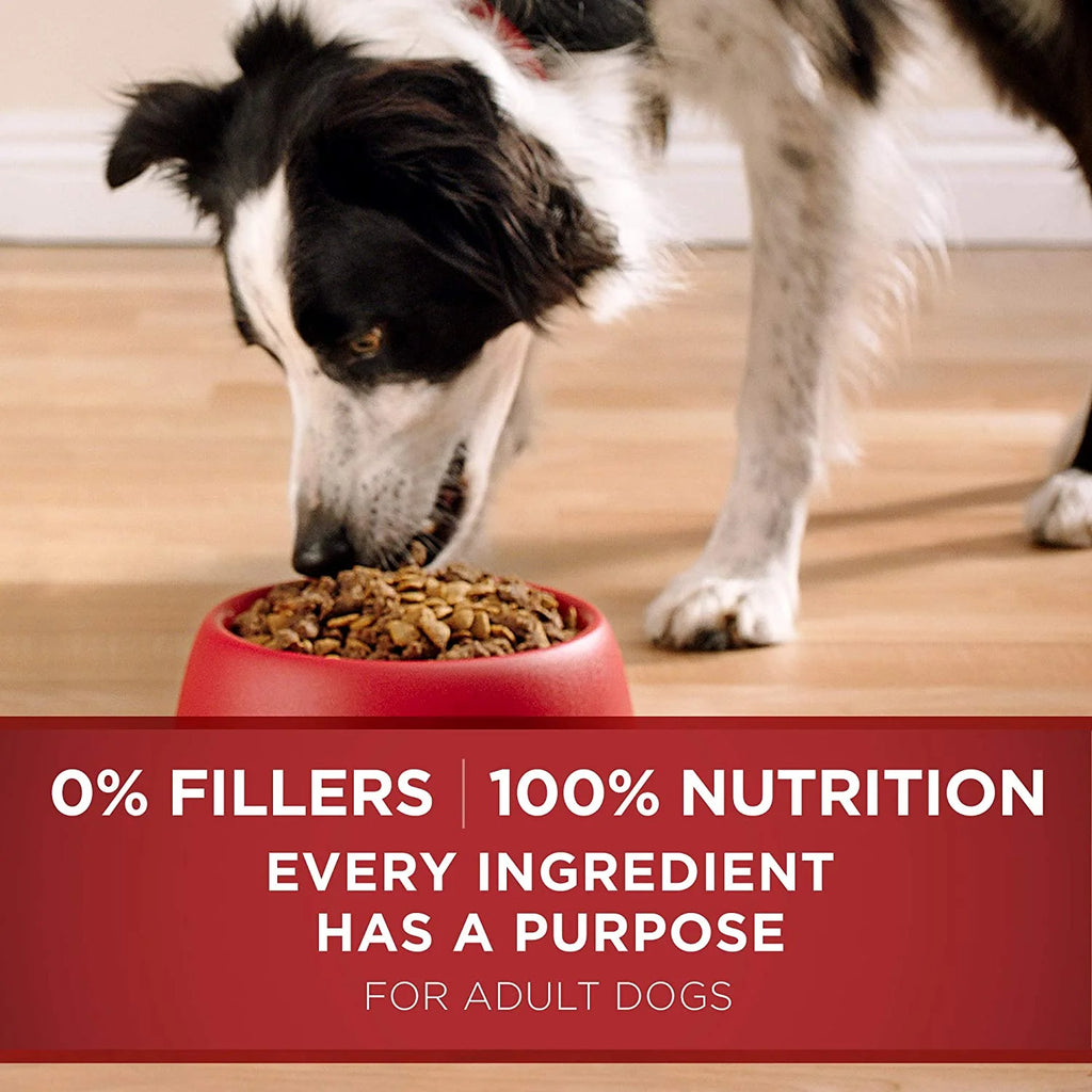 Natural Adult Lamb & Rice Dry Dog Food P762641