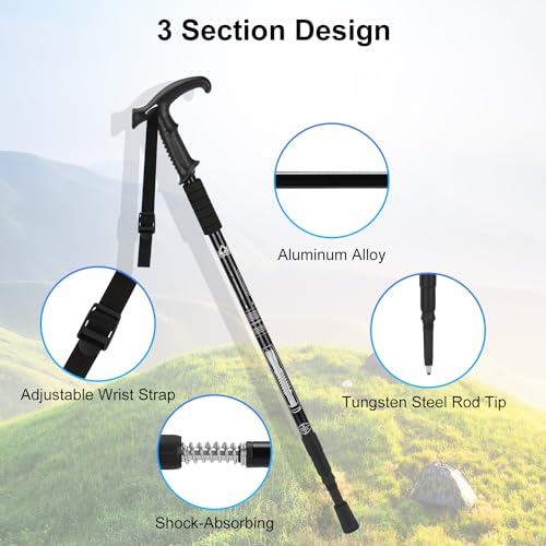 2 Pack Lightweight Aluminum Trekking Poles Y5194