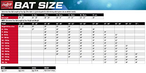 2 5/8 Barrel 1 Pc. Aluminum Youth Baseball Bat P396827