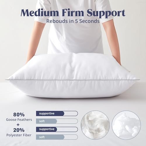 Set of 2 King Size Goose Feathers and Down White Pillows with Cotton Cover J8085