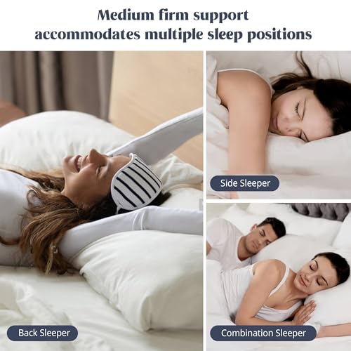 Set of 2 King Size Goose Feathers and Down White Pillows with Cotton Cover J8085