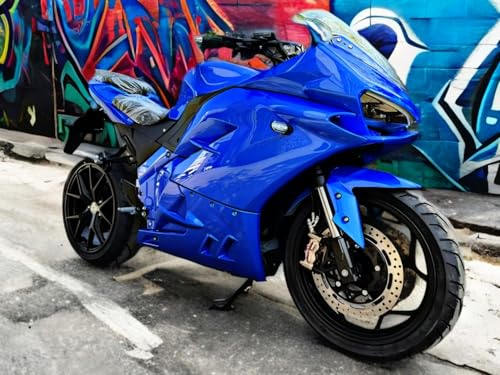 Electric Sport Motorcycle with Automatic Transmission T220