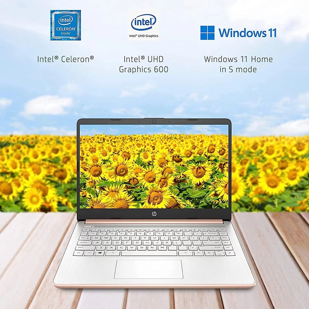 14" Ultral Light Laptop Intel Celeron Quad-Core N4120 16GB RAM 64GB eMMC Pink X862