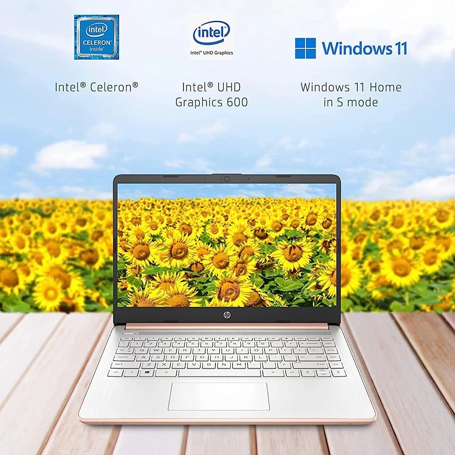 14" Ultral Light Laptop Intel Celeron Quad-Core N4120 16GB RAM 64GB eMMC Pink X862