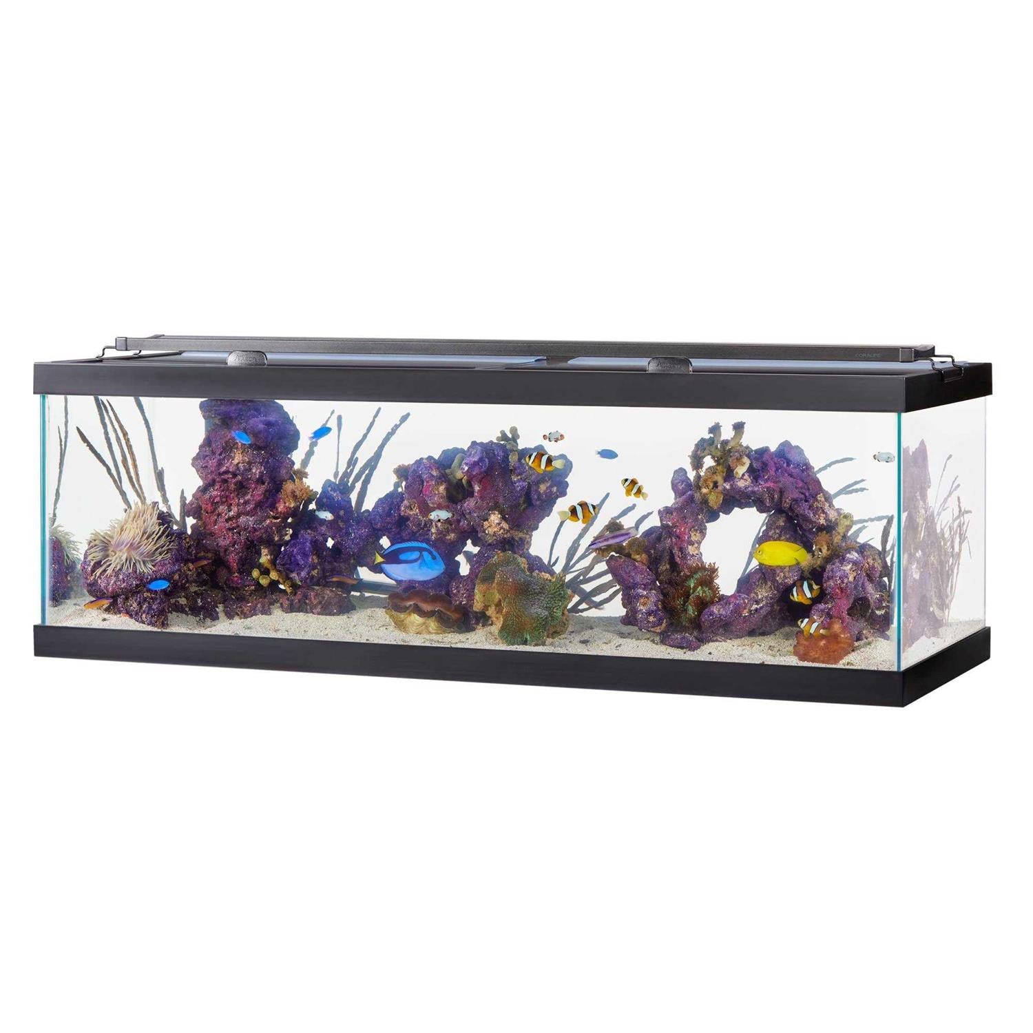 Standard Glass Rectangle Aquarium Q101
