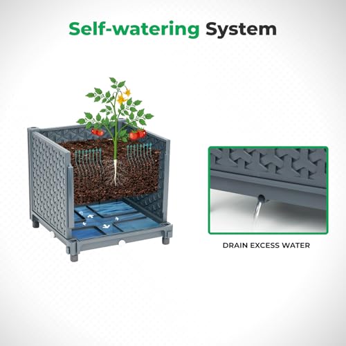 Raised Garden Bed with Tomato Planter Cage S166270