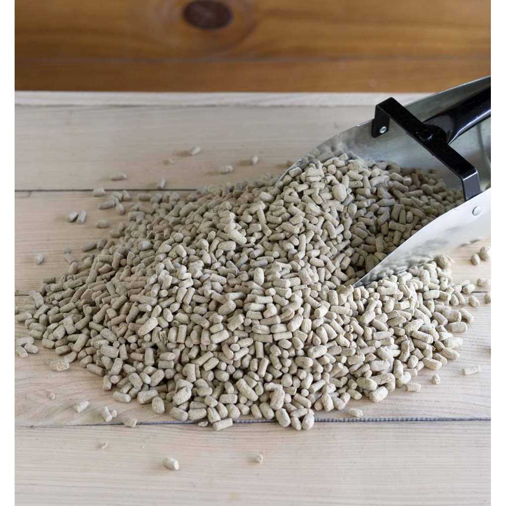 Rice Bran O504
