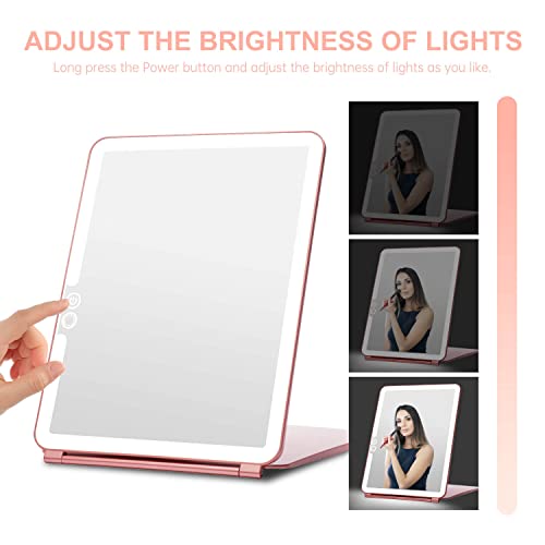 Foldable Double Sided Tabletop Mirror 10 X and 1X Q45388