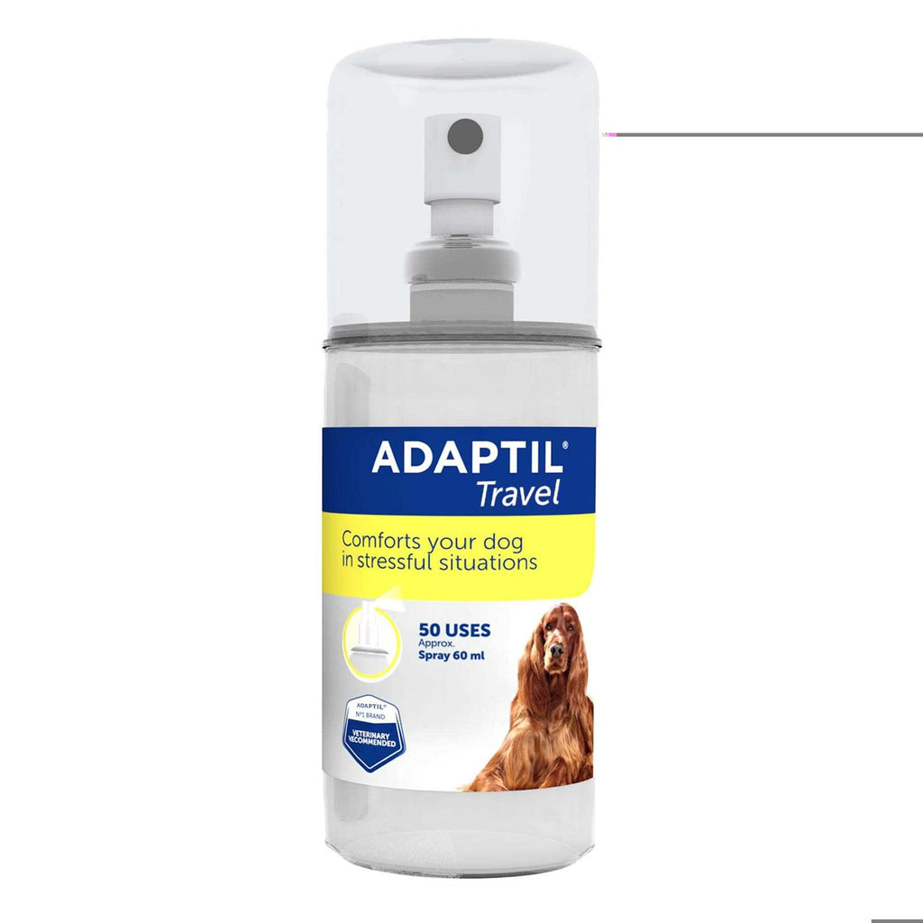 60 ml Spray P2979