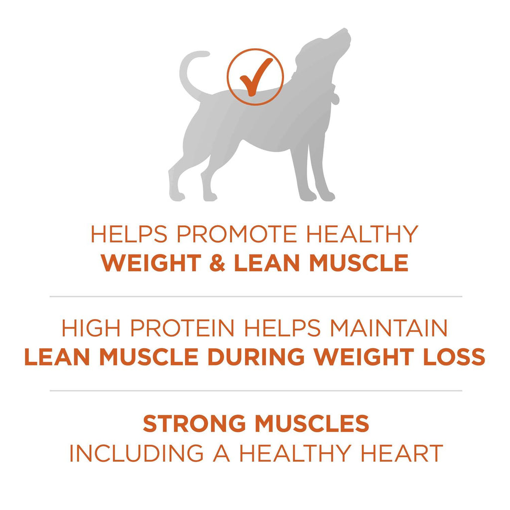 Healthy Weight Dog Food Dry Formula B344364