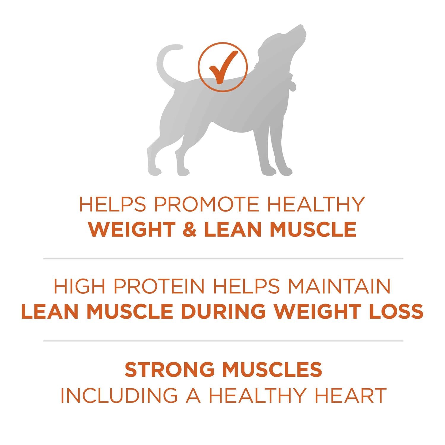 Healthy Weight Dog Food Dry Formula B344364