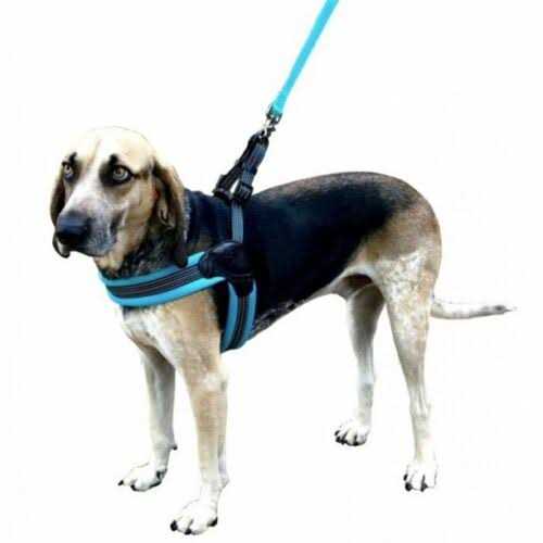 Nylon Mesh Non-Pulling Dog Harness V2338