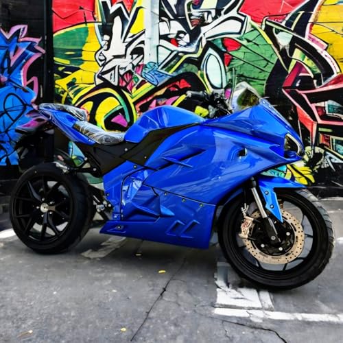 Electric Sport Motorcycle with Automatic Transmission T220