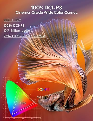 15.6'' 4K OLED Portable Monitor A37813