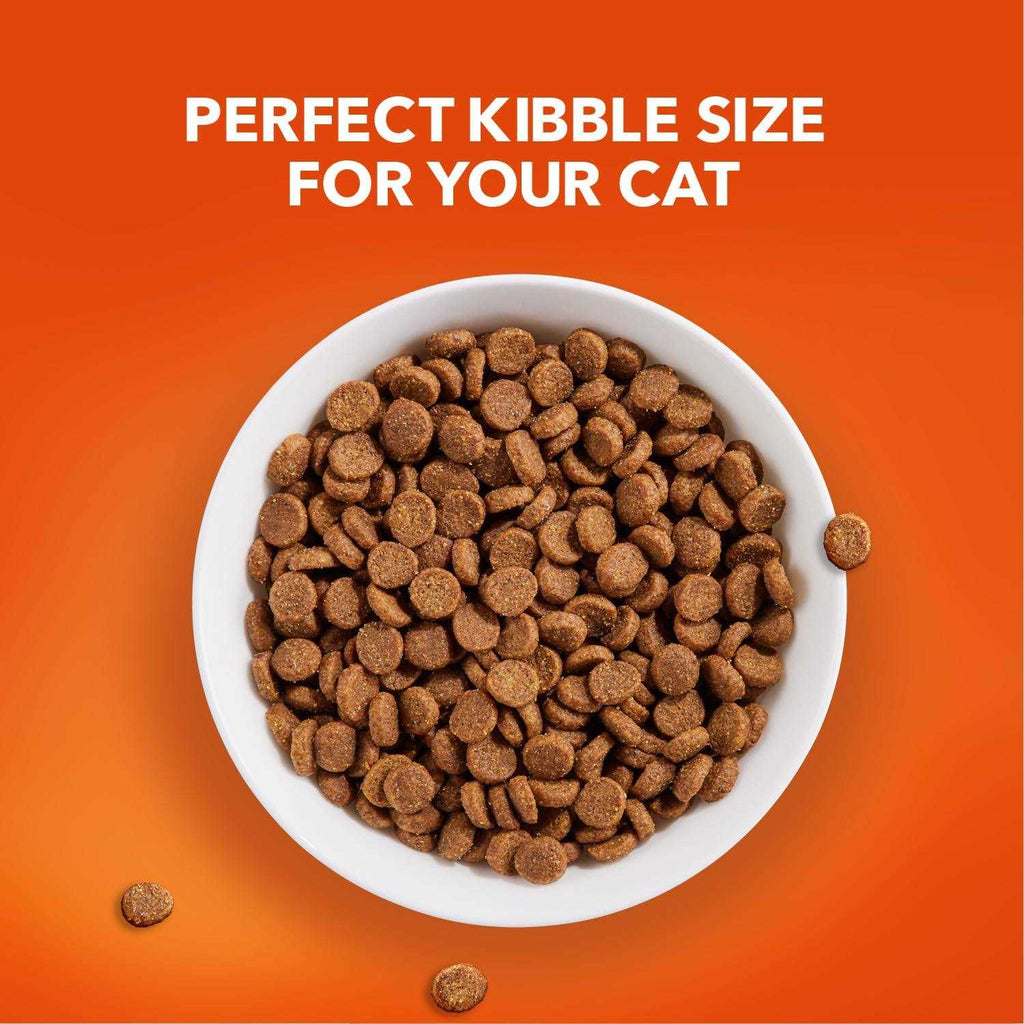 Senior Dry Cat Food H469