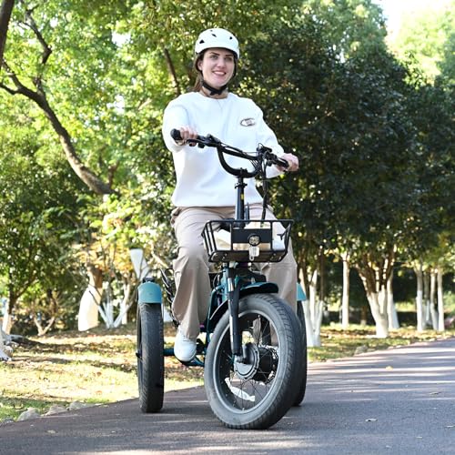 20" x 4" Fat Tire Electric Tricycle with Removable Battery E462468