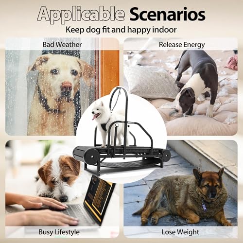 Non-Electric Dog Treadmill with Step Counter, Adjustable Incline & Brake A342158