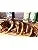 6 Pack Bundle Pourable Marinade H11071