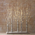 Lighted Birch Tree Forest 30x22 P31929