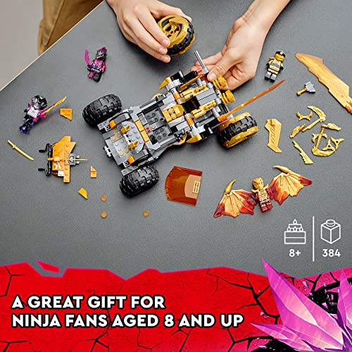 Cole’s Dragon Cruiser Car Toy with Golden Kai, Cole and Snake Warrior Minifigures N63307