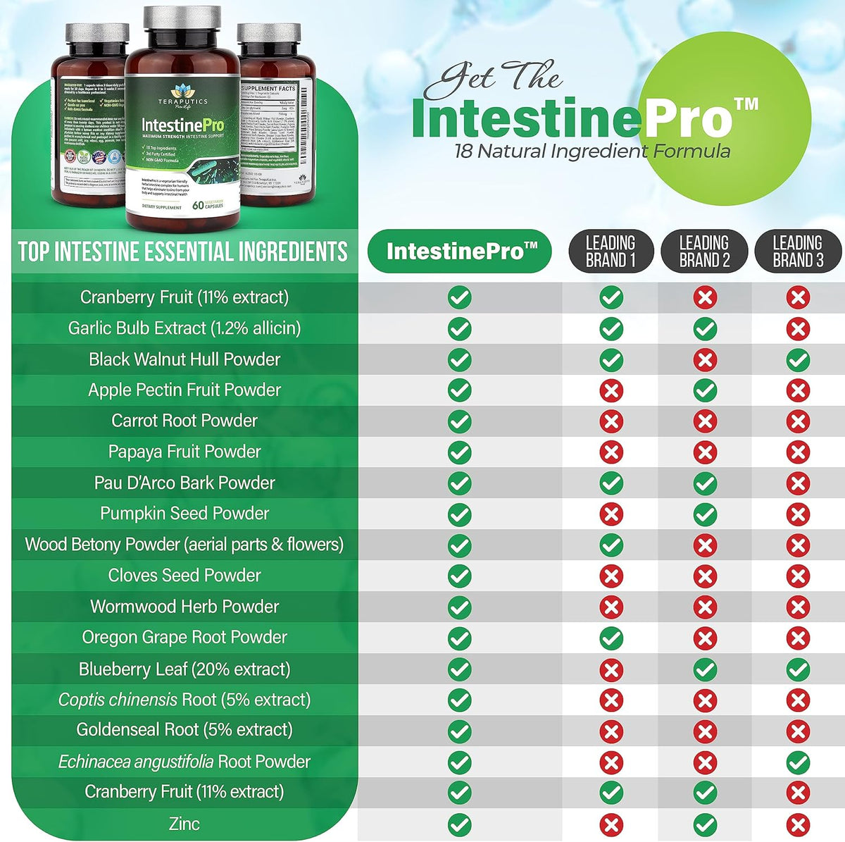 Intestine Support with Non-GMO Wormwood, Black Walnut, Echinacea, 60 Vegetarian Capsules P759307