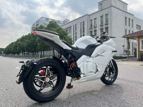 Electric Sport Motorcycle with Automatic Transmission T220