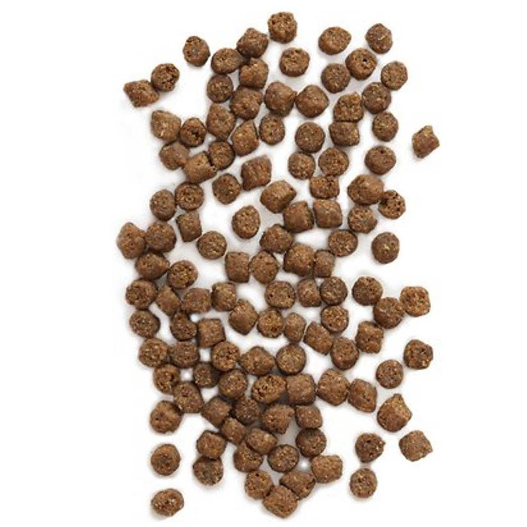 Wild Sea Catch Cat Food G85406