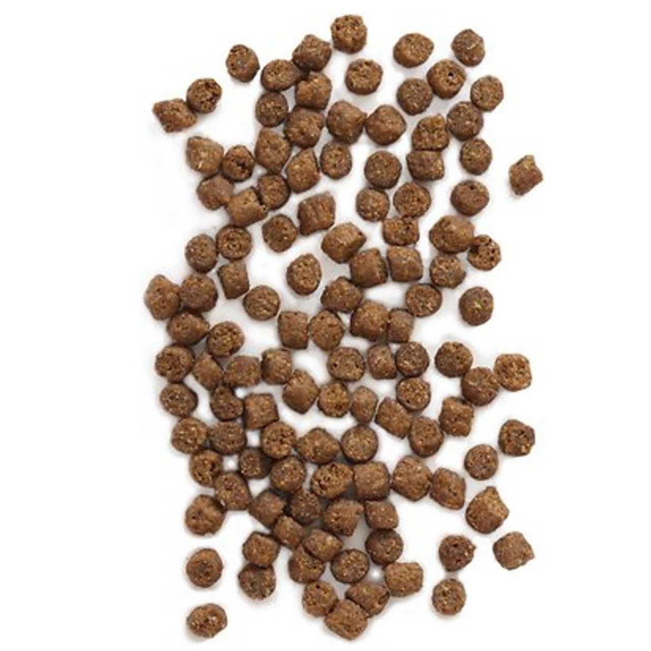 Wild Sea Catch Cat Food G85406