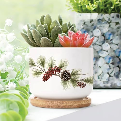 Blue and White Porcelain Ceramic Planters with Bamboo Trays S5532