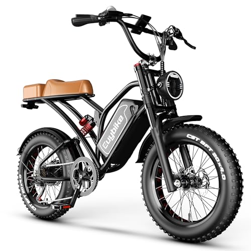2000W Electric Bike with 48V Battery 20"x4.0" Fat Tires Q540643
