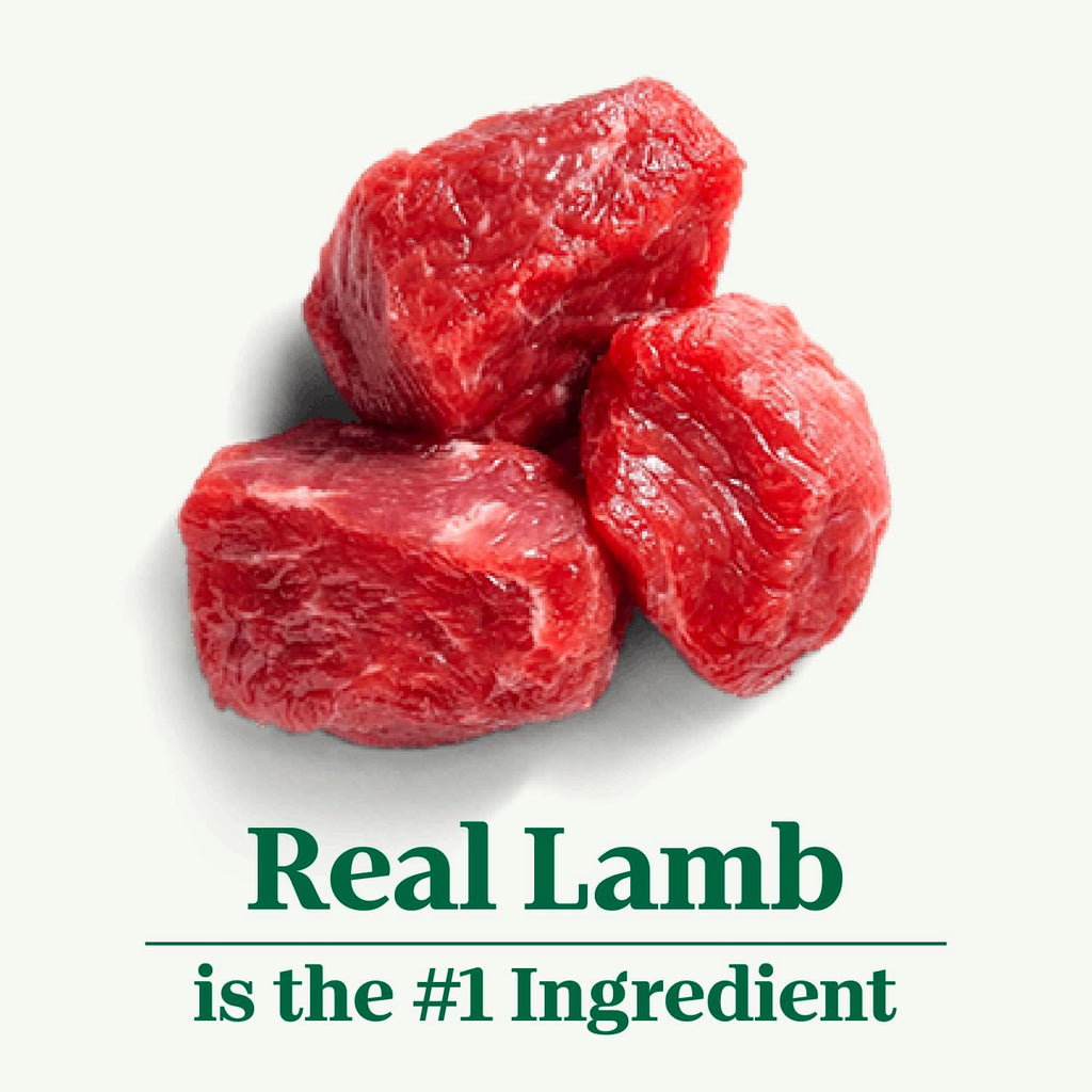 12 lbs Lamb and Brown Rice Dry Dog Food T74296