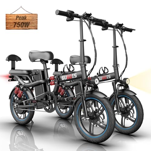 2 Seater Electric Bike, 16" Fat Tire, Full Suspension G4896