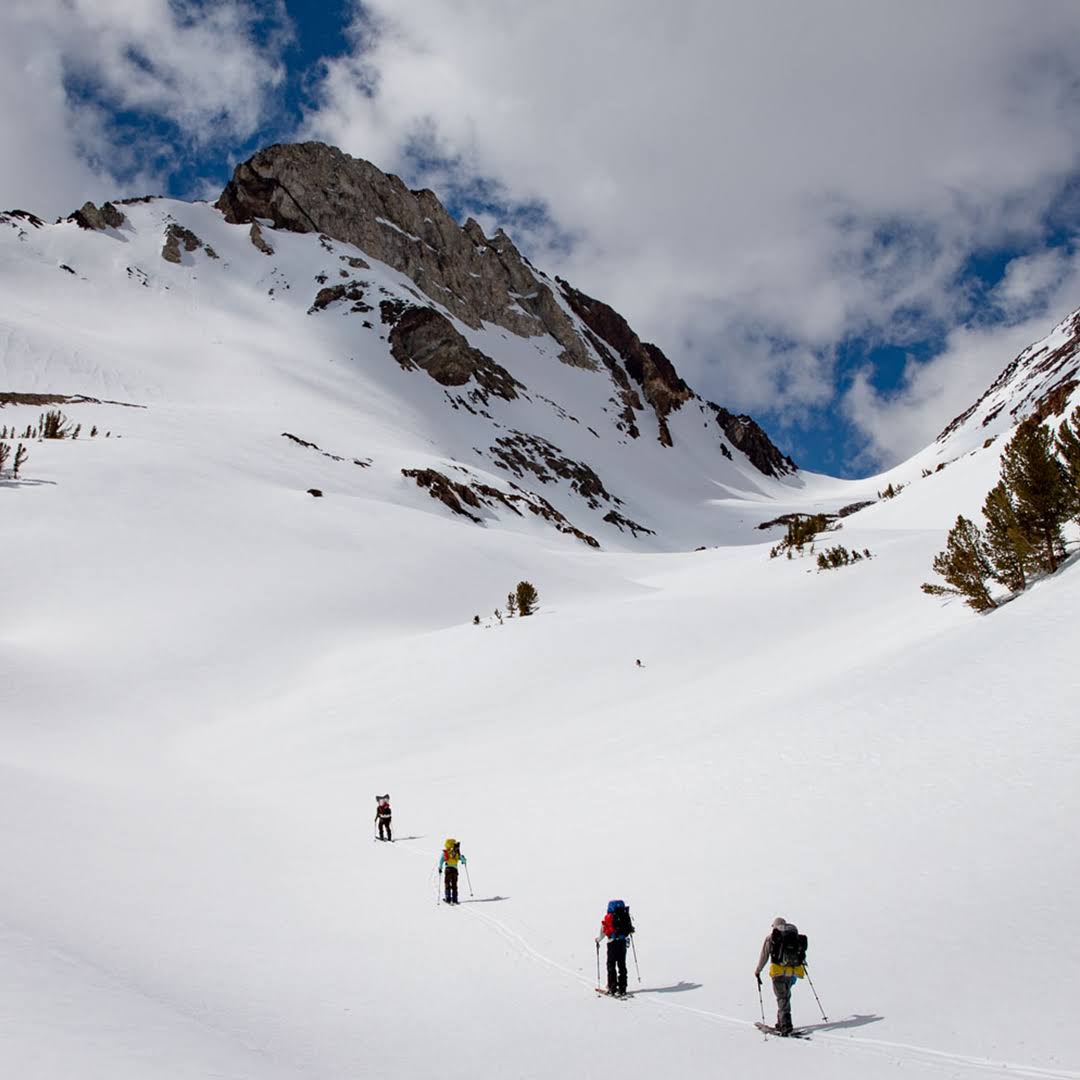 Splitboard S1899
