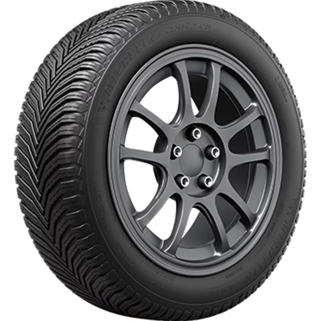 225/50R18 95H All Weather Tire L325