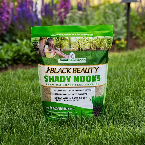 Black Beauty Shady Nooks Grass Seed 3 lb W6515