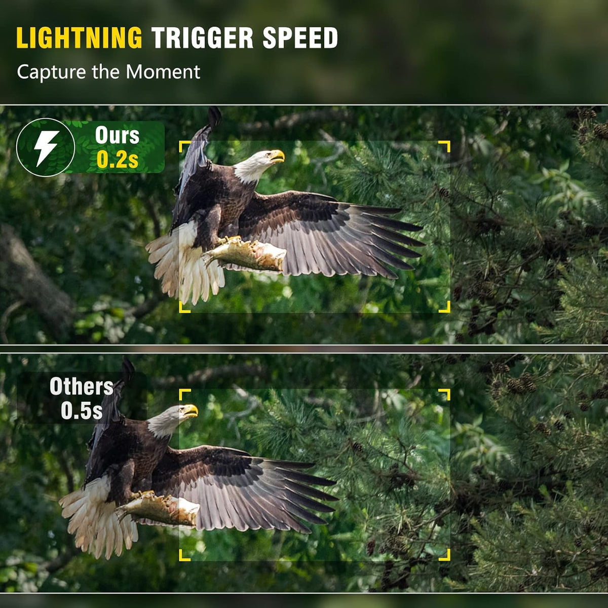 4K 32MP 120° Night Vision Motion Activated Waterproof IP66 Wildlife Camera with 32GB Micro SD Card Q832931