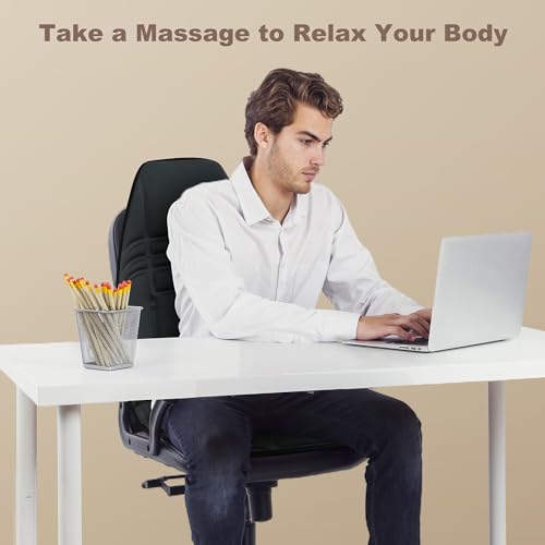Vibration Back Massager with Heat, 10 Vibration Motors & 2 Heating Levels S91602