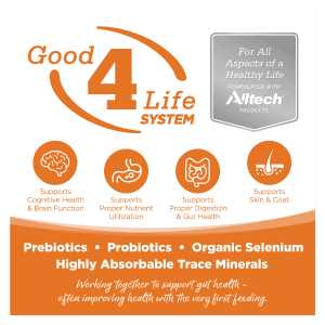 Grain Free Venison Red Lentils Dog Food I9294