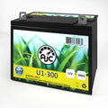 Lawn Mower and Tractor Battery X702239