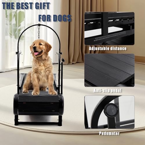 Non-Electric Dog Treadmill with Step Counter, Adjustable Incline & Brake A342158