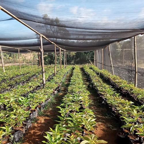 6.5X20Ft 40% Shade Cloth Mesh Tarp V545