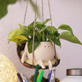 Hanging Swing Chair Planter Pot Smile Face Plant Pot for Indoor Outdoor Plants Cute Head Flower Pots T807