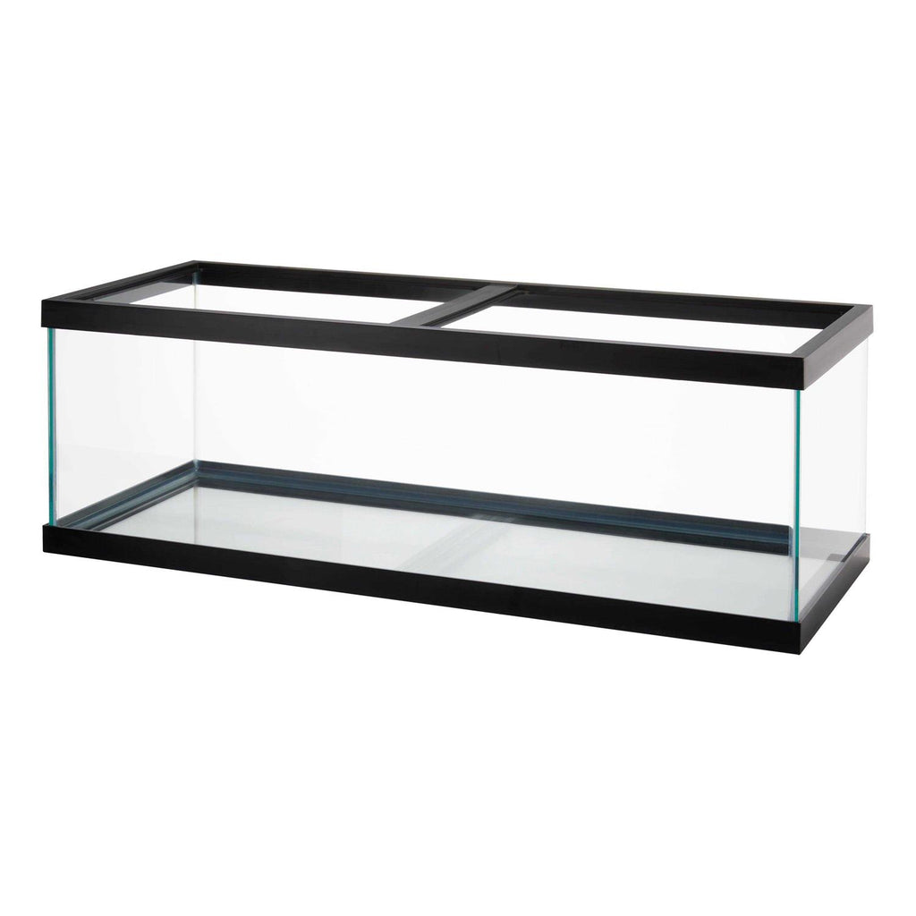 Standard Glass Rectangle Aquarium Q101