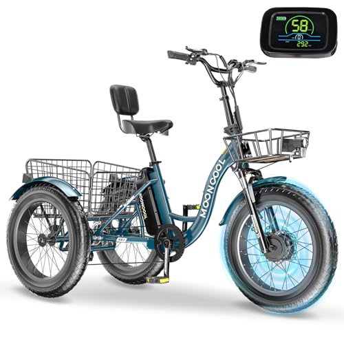 20" x 4" Fat Tire Electric Tricycle with Removable Battery E462468