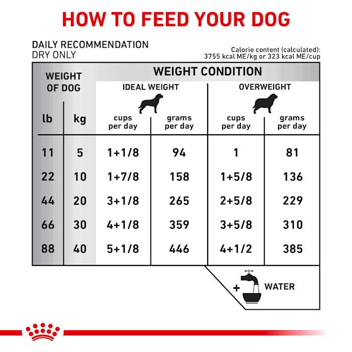 Veterinary Diet Dry Dog Food O6313