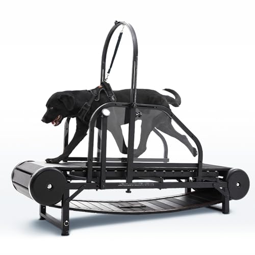 Non-Electric Dog Treadmill with Step Counter, Adjustable Incline & Brake A342158