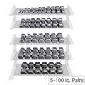 Cast Iron Hex Dumbbell Sets 80-100 lb. Pairs N27177