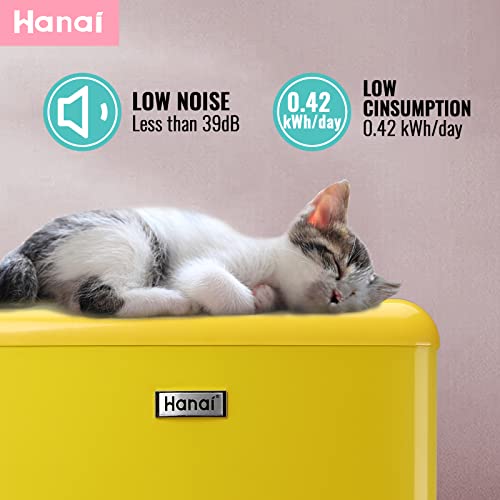 Mini Fridge with Freezer Dual Door K882